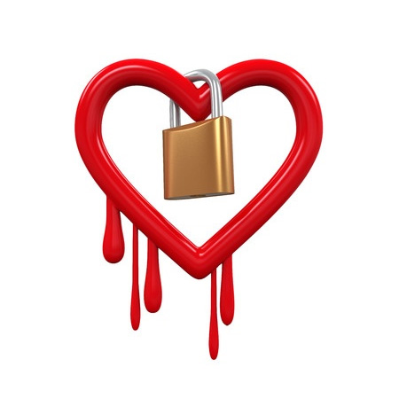 Heartbleed virus security